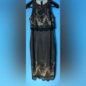 ASOS Black and Cream Striped Lace Midi Dress